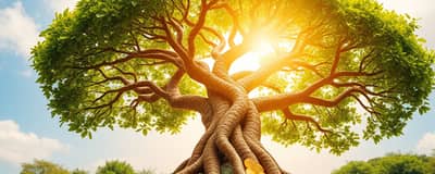 Building Generational Wealth: A Prudent Path Forward