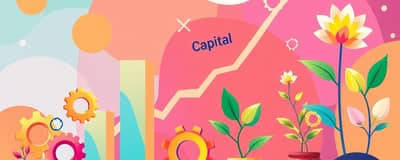 Return on Capital: A Deep Dive