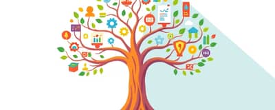 Maximizing Value: Beyond the Price Tag